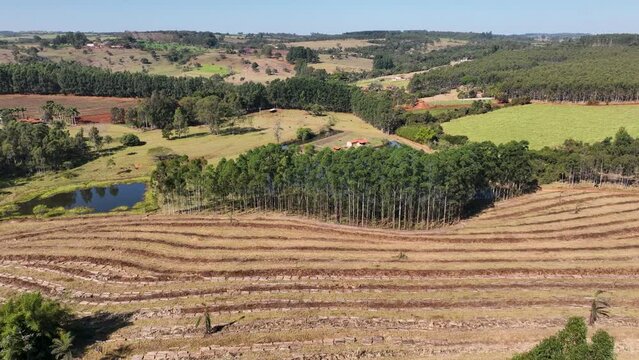 Farmland rural landscape. Farming scenery. Harvest time at rural life. Farm land rustic countryside scenic aerial landscape. Rural life scenery. Agriculture field environment.