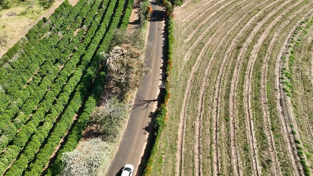 Rural life scenery. Agriculture field environment. Farmland rural landscape. Farming scenery. Harvest time at rural life. Farm land rustic countryside scenic aerial landscape. 