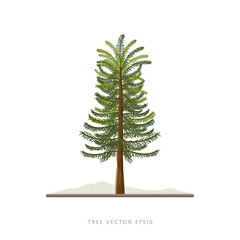 Ornamental pine tree illustration vector landscape decoration element