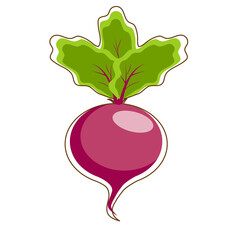 Vector illustration of beet in flat style. Summer sticker. The beet isolated on white background.