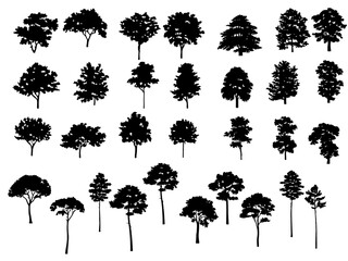 Vector illustration of tree silhouette