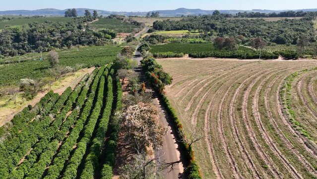 Farm land rustic countryside scenic aerial landscape. Rural life scenery. Agriculture field environment. Farmland rural landscape. Farming scenery. Harvest time at rural life.