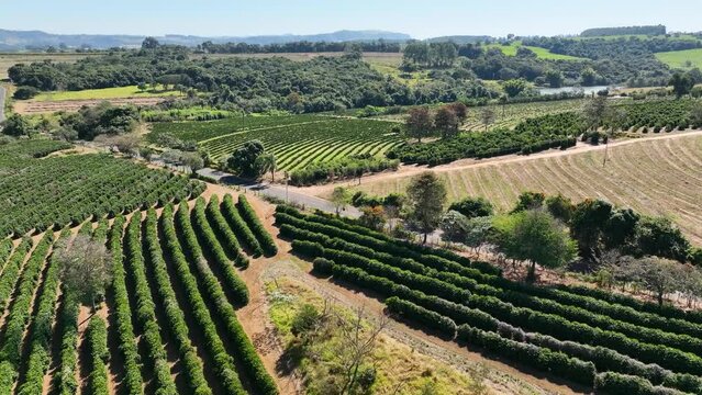 Rural life scenery. Agriculture field environment. Farmland rural landscape. Farming scenery. Harvest time at rural life. Farm land rustic countryside scenic aerial landscape. 