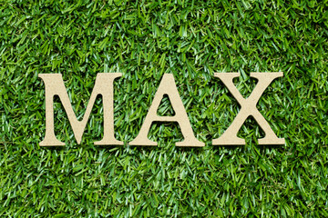 Wood alphabet letter in word max on green grass background