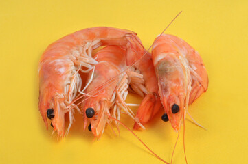 Crevettes en gros plan sur fond jaune