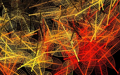 Dark Red, Yellow vector doodle pattern with flowers, leaves.