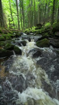 Mountain stream Kleine Ohe at the Bavarian Forest National Park