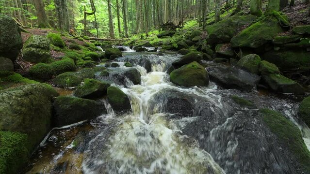 The Environment stock photos, royalty-free images, vectors, video ...