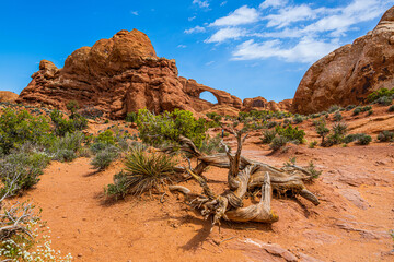 Skyline Arch in Arches National Park