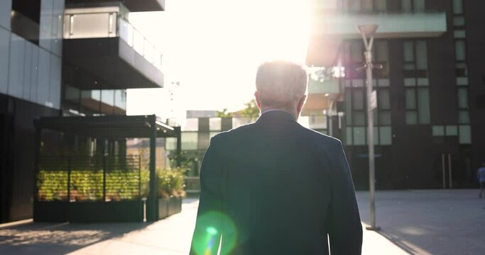 Rear view of businessman walking in city at sunset