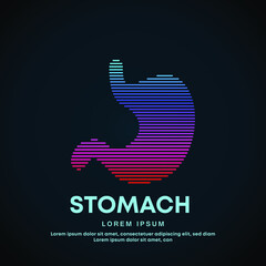 Human stomach medical structure. Vector logo stomach color silhouette on a dark background. EPS 10