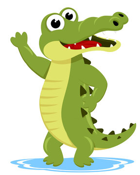 Crocodile stands, smiles and waves on a white background. Character
