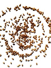 Wheat  grains background