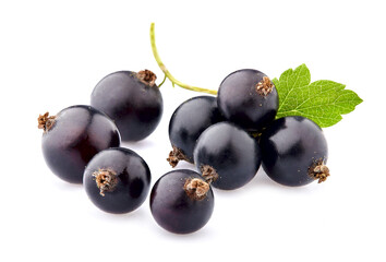 Black currant berries on White Background
