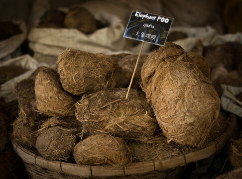 Close up of dried elephant poo with a label on it written "elephant poo" in english, chinese and thai