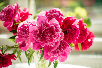 red peonies 