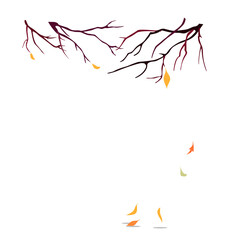Branches without leaves autumn trees. Falling leaves. Vector illustration isolated on white background