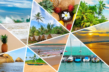 Photo collage of tropical landscapes located in mosaic
