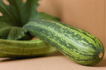 zucchini on the table