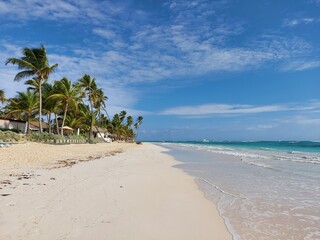 Beach with palm trees and sea