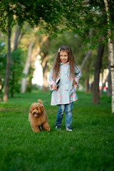 A cute little girl on a walk with toy poodle dog. It's spring outside. The girl is dressed in a blue cloak in a flower and jeans. She has long wavy hair. Childhood. Stroll.