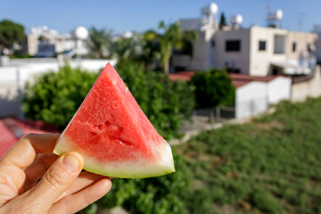 Pink triangle watermelon slice in hand in front of green trees and white houses