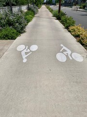 Bike lane stencils on a concrete pathway
