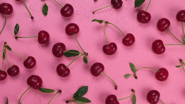 Rotating background of ripe wet cherries with water drops on a black background with green leaves close up top view