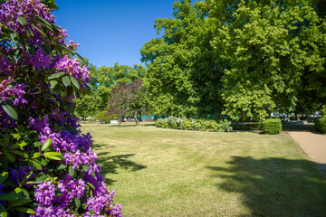 Ostseebad Kühlungsborn