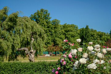 Ostseebad K&uuml;hlungsborn