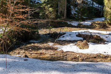 A little cold and snowy babbling stream, brook in the wild nature in the forest, outdoors