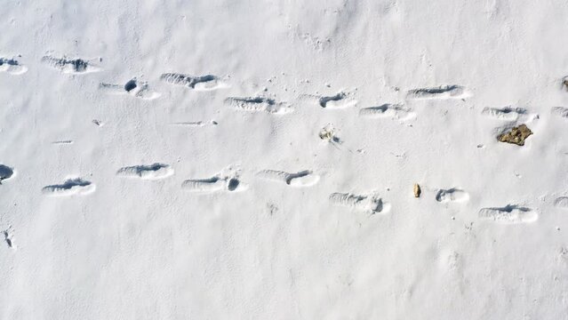 Animal footprints on fresh snow - aerial top-down view