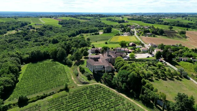 Aerial view bordeaux vineyard in summer, landscape vineyard . High quality 4k footage