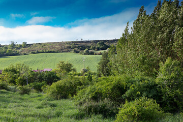 Fototapeta na wymiar Green landscapes of Castilla, Spain in spring, pilgrims' passage area at the entrance to the city of Burgos.