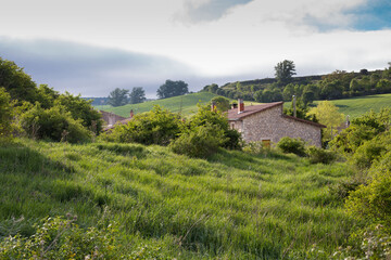 Green landscapes of Castilla, Spain in spring, pilgrims' passage area at the entrance to the city of Burgos.