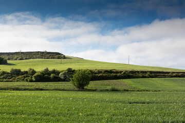 Obraz premium Fields of Castile, Spain in Spring, near the city of Burgos.