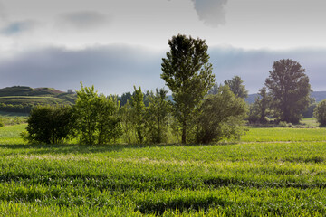 Fields of Castile, Spain in Spring, near the city of Burgos.