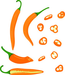 Hot pepper vector illustration. Hot pepper. Chilli. Cayenne pepper. Piece of pepper, pepper pieces with seeds, pepper circles, chopped pepper with seeds.