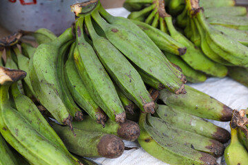 Organic Plantains in village market for sale