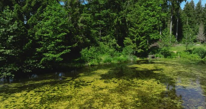 Drohnenflug &uuml;ber einen idyllischen, kleinen Moorweiher im bayerischen Alpenvorland bei R&uuml;ckholz