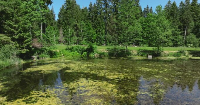 Drohnenflug &uuml;ber einen idyllischen, kleinen Moorweiher im bayerischen Alpenvorland bei R&uuml;ckholz