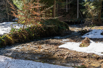 Naklejka na ściany i meble A little cold and snowy babbling stream, brook in the wild nature in the forest, outdoors