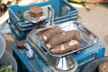 Organic Tapioca on weighing machine