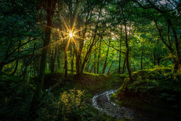 The path to Darren Mountain.