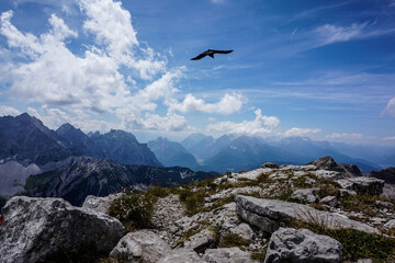 Fototapeta na wymiar Soiernspitze, Karwendel