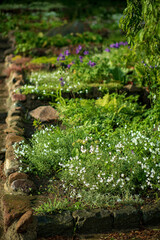 Obraz na płótnie Canvas rock garden with summer plants