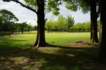 公園