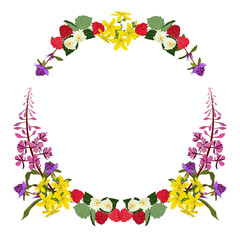 Vector wreath wildflowers, raspberries and herbs on a white isolated background.