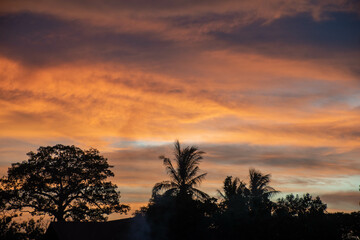 The golden light sky in the morning and evening