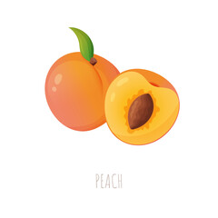 A vector illustration of a juicy peach with its slice and seed on white background for summer design